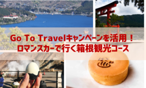 Go To Travelキャンペーンを活用!ロマンスカーで行く箱根観光コース