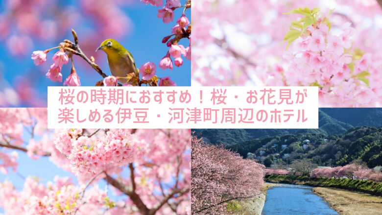 桜の時期におすすめ!桜・お花見が楽しめる伊豆・河津町周辺のホテル