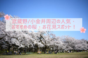 【2021最新版】武蔵野・小金井周辺の人気・おすすめの桜・お花見スポット!