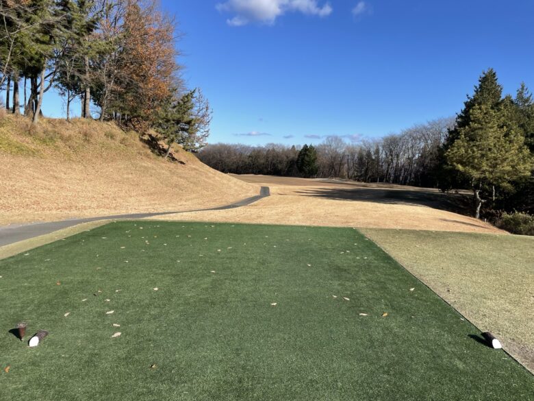Hole 11 tee shot view