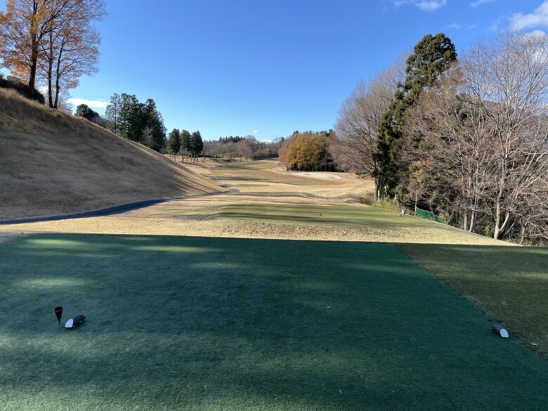 Hole 12 tee shot view