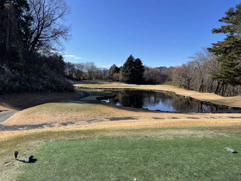 Hole 13 tee shot view