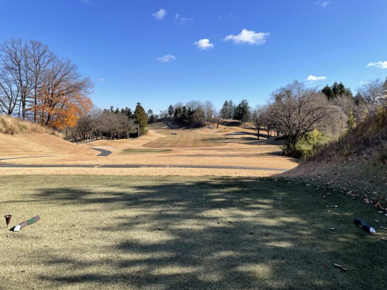 Hole 14 tee shot view