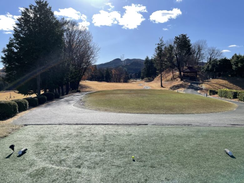 Hole 15 tee shot view