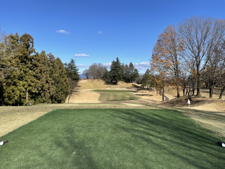 Hole 16 tee shot view