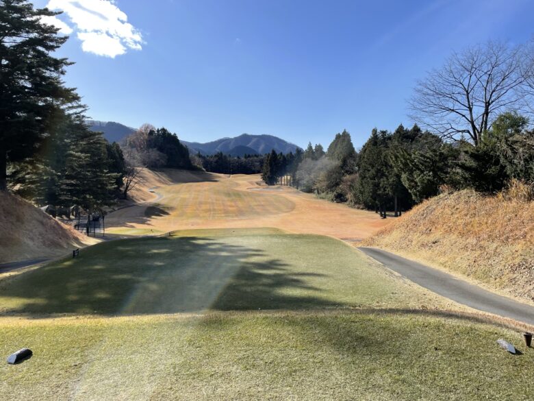 Hole 17 tee shot view