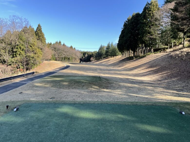 Hole 3 tee shot view