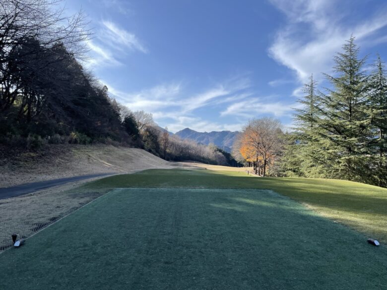 Hole 4 tee shot view