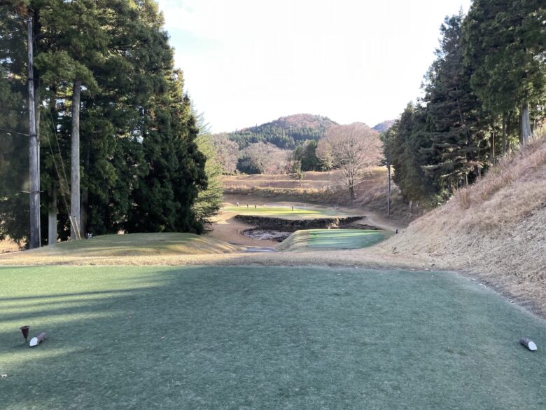 Hole 6 tee shot view
