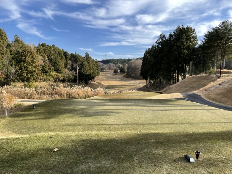 Hole 8 tee shot view