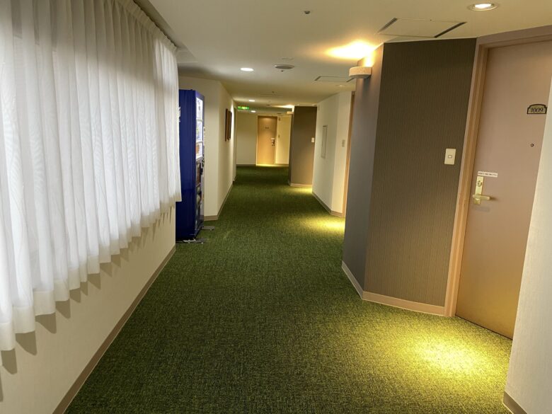 Hallway to the room