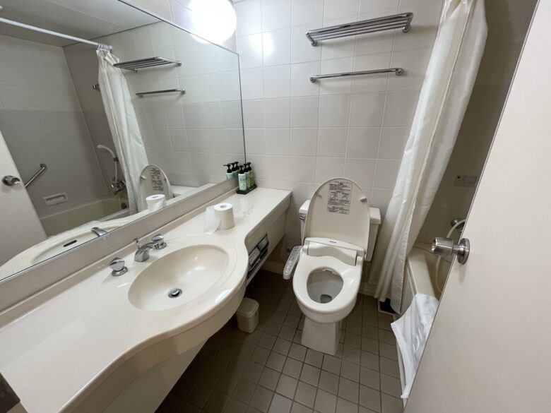 Toilet and bathtub area