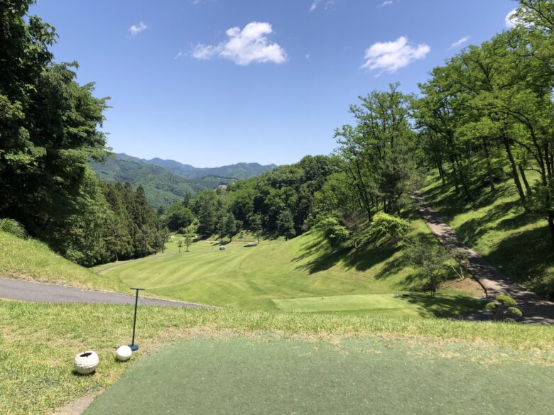 South hole 5 tee shot view