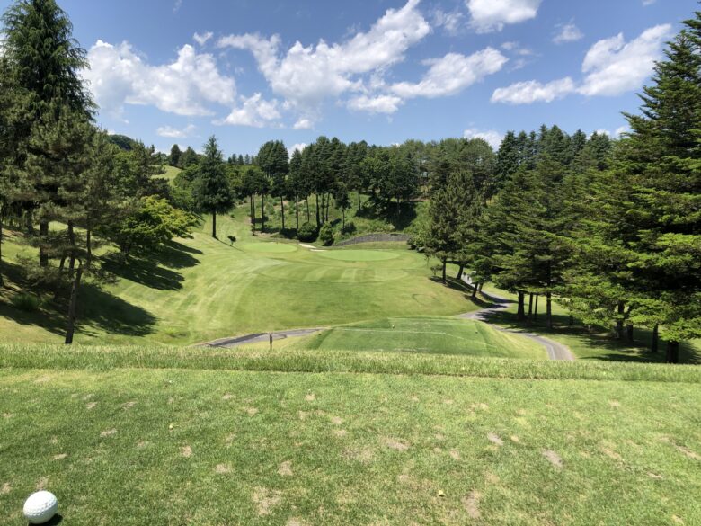 South hole 7 tee shot view
