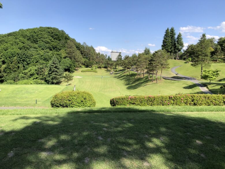 West hole 8 tee shot view