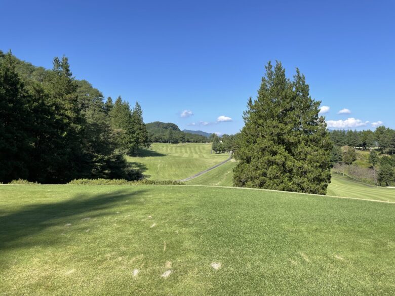 South hole 3 tee shot view