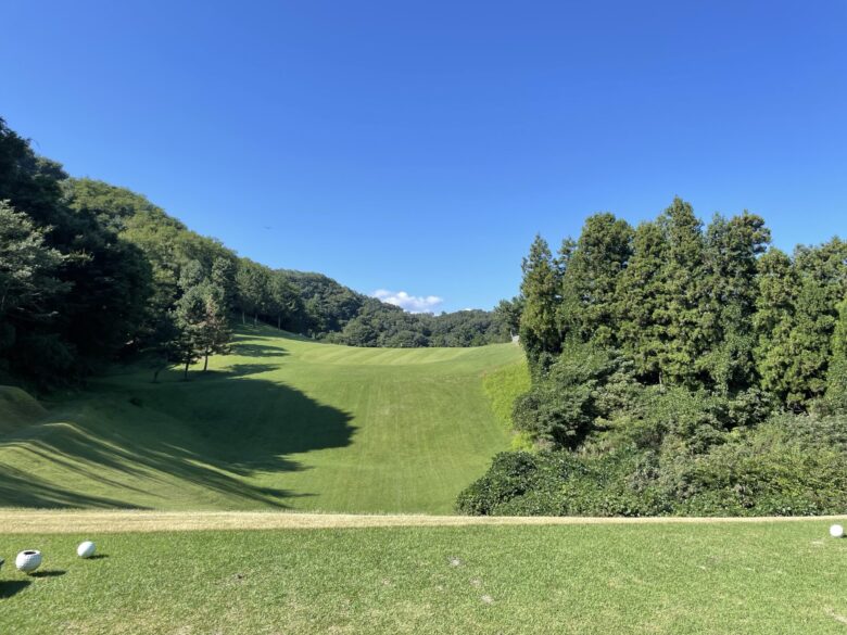 South hole 4 tee shot view