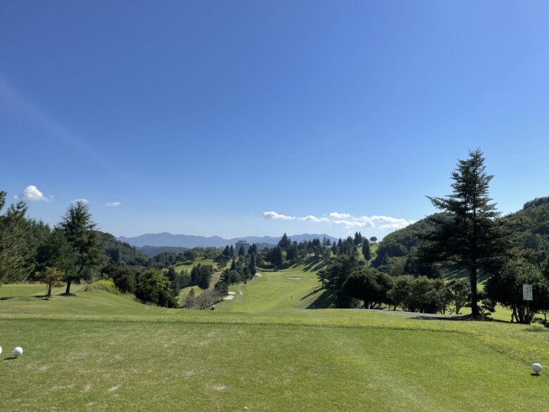 South hole 6 tee shot view