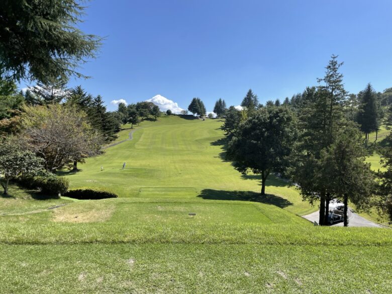 South hole 8 tee shot view