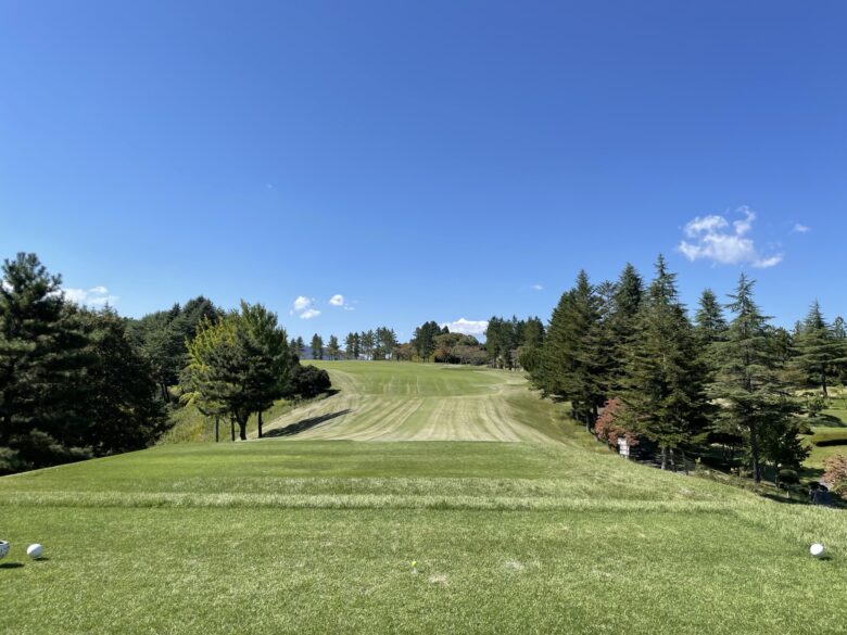 West hole 2 tee shot view