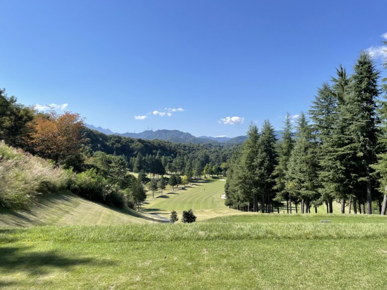 West hole 3 tee shot view