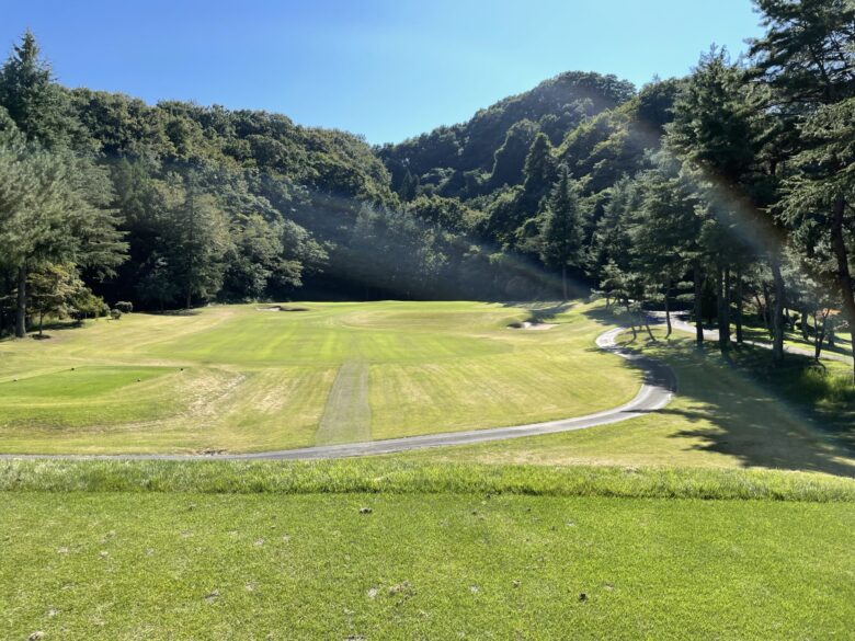 West hole 4 tee shot view