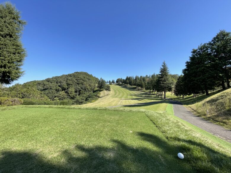 West hole 6 tee shot view