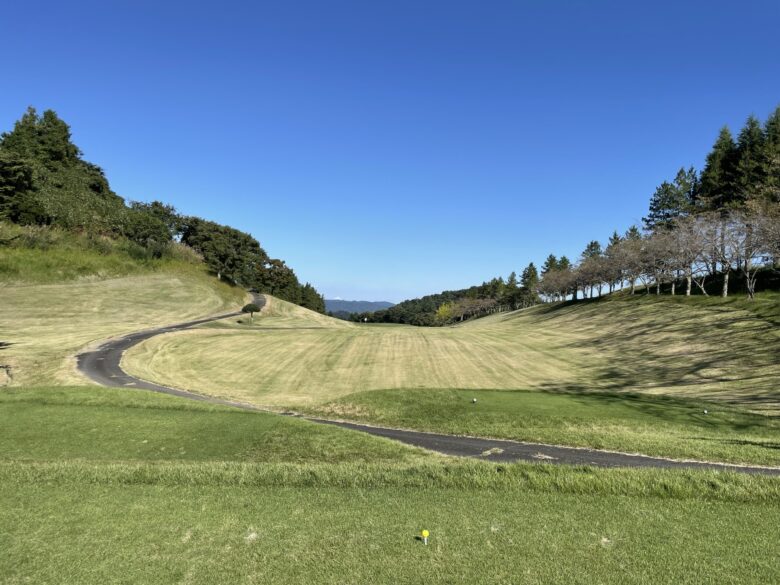 West hole 7 tee shot view