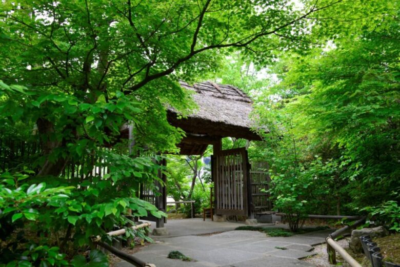 Izumo: Yunokawa Onsen Yuyado Souan (1)