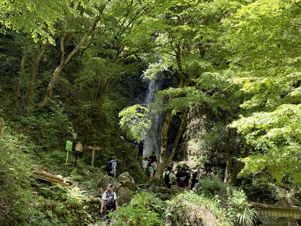 払沢の滝　所要時間