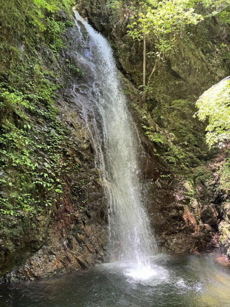 払沢の滝　所要時間