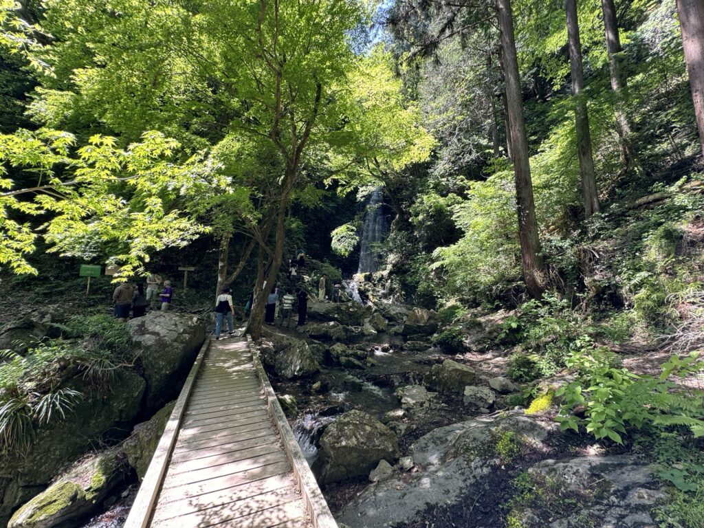 払沢の滝　所要時間