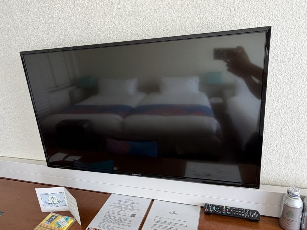Wall-mounted TV in the guest room