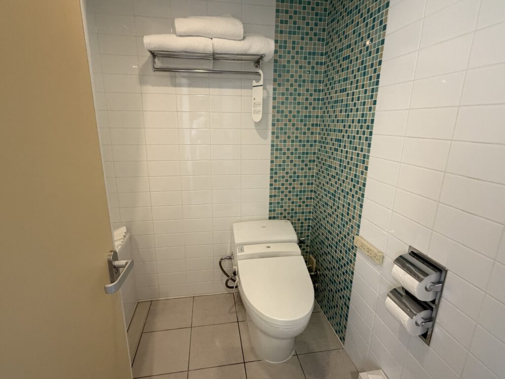 Toilet area