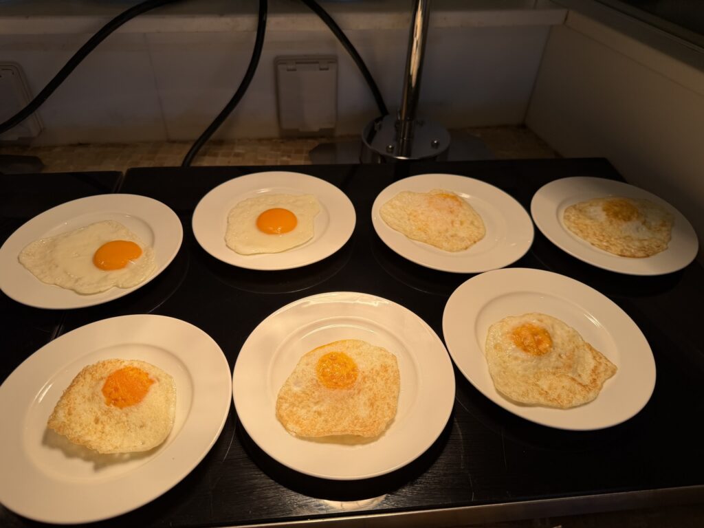 A row of sunny-side-up eggs
