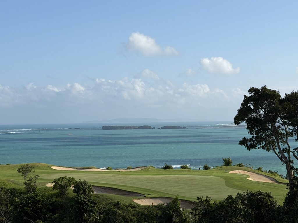 客室のバルコニーから見える緑と海の景色
