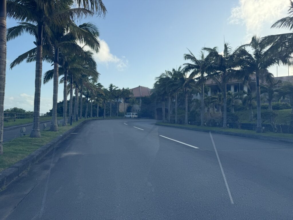 カートに乗って移動中の視点からの景色