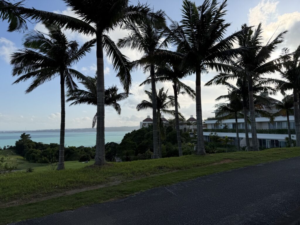 ヤシの木越しに見える海の景色