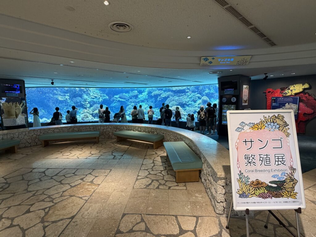 サンゴの海の大きな水槽を眺める人々、「サンゴ繁殖展」の案内板も設置